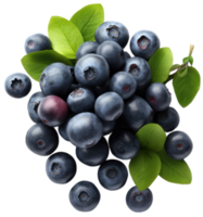 AI generated blueberries png image