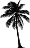 AI generated silhouette coconut tree black color only vector