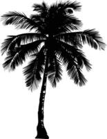 AI generated silhouette coconut tree black color only vector