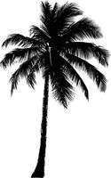 AI generated silhouette coconut tree black color only vector