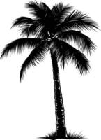 AI generated silhouette coconut tree black color only vector