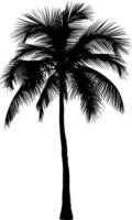 AI generated silhouette coconut tree black color only vector