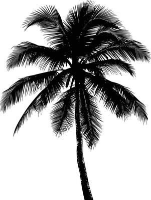 AI generated silhouette coconut tree black color only