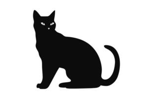 European Burmese Cat Silhouette black Vector