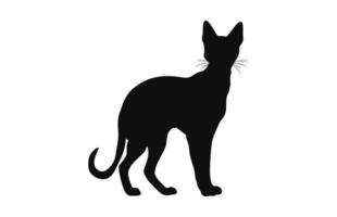 Peterbald Cat Silhouette black vector isolated on a white background