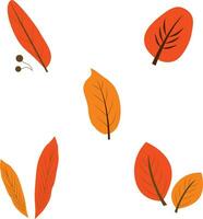 Autumn Leaves Elements Set. Cartoon Design vector