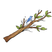 a bird on the tree illustation png