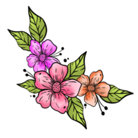 Beautiful Flowers Arragement Illustration png