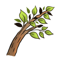 primavera árbol ilustración png