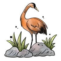 a stork standing on the stones illustration png