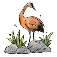 ein Storch Stehen auf das Steine Illustration png