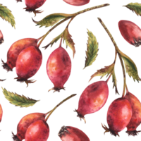 Branch of wild rosehips with red briar fruits, dog rose green leaves. Seamless pattern Hand drawn watercolor illustration for label print, wallpaper, wrapping paper, fabric png