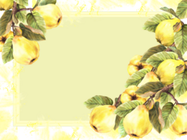 Hand painted watercolor banner, frame. Branches with yellow juicy quince whole fruits and leaves with stains and splashes Template illustration for card menu label yellow transparent background png