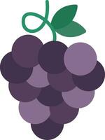 zinfandel uvas plano icono vector