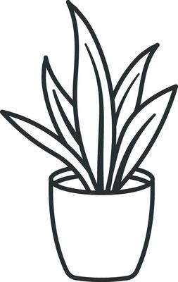 plant or flower without background