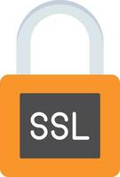 SSL Flat Icon vector
