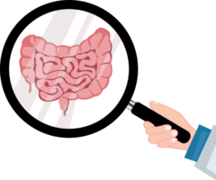 médico con lupa examinar intestino png