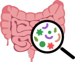 illustrazione un' medico esamina di il colon e dannoso batteri png
