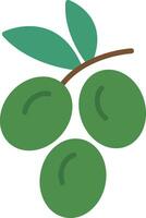 Olive Flat Icon vector