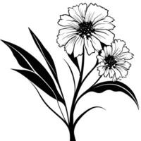 hermosa negro y blanco vector botánico ilustración con decorativo hojas.