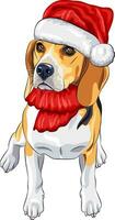 dog Beagle in hat of Santa Claus vector