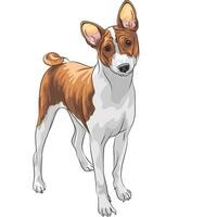 vector bosquejo caza perro basenji raza