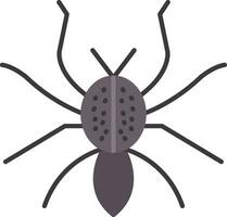 Spider Flat Icon vector