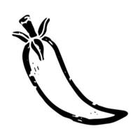 a black and white drawing of a pepper vector