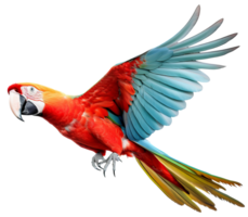 AI generated Colorful Macaw bird. ai generated. png