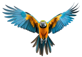 AI generated Colorful Macaw bird in forest background. ai generated. png