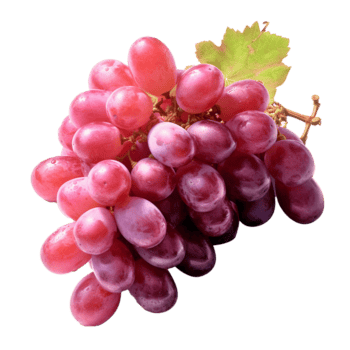 uva png isolato rosso uva mazzo trasparente sfondo uva png isolato giallo uva mazzo trasparente sfondo