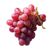 Grape png isolated Red Grape bunch transparent background  Grape png isolated yellow Grape bunch transparent background