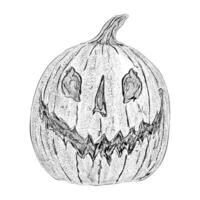 Trendy Halloween Pumpkin vector