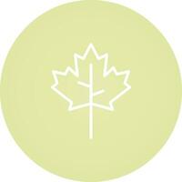 Maple leaf Vector Icon