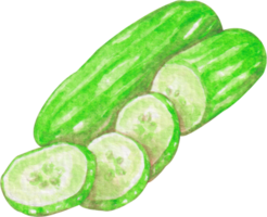watercolor vegetable cucumber png