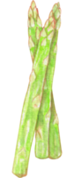 aguarela vegetal aspargas png
