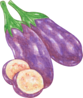 watercolor vegetable eggplant png