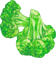 acuarela vegetal brócoli png