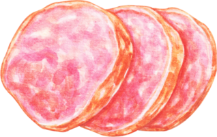 acquerello cibo prosciutto png