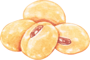 watercolor food soybean png