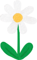 cute daisy flower sticker clip art png