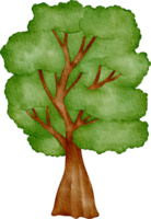 acuarela árbol acortar Arte png