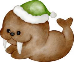 waterverf walrus winter karakter png