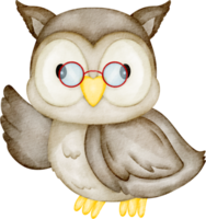 watercolor owl animal png