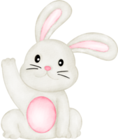 watercolor rabbit animal png