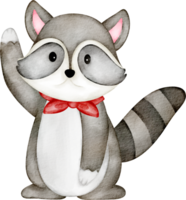 watercolor raccoon animal png