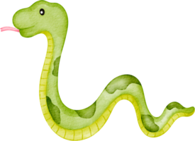 aquarelle serpent animal png