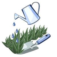 Gardening with garden tools and zebra cactuses vector