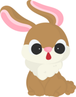 rabbit cartoon illustration png