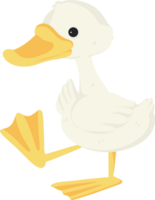 duck cartoon illustration png